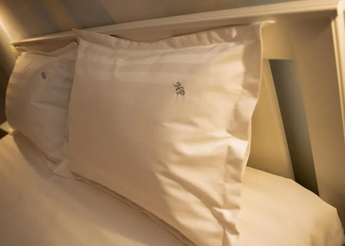 게스트하우스 Halta Pescarus Douăzeci şi Trei August